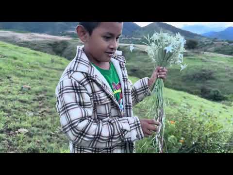 Nos fuimos a las Azucenas del Campo en el Paraje Corral de piedra en Ayoquezco Oaxaca