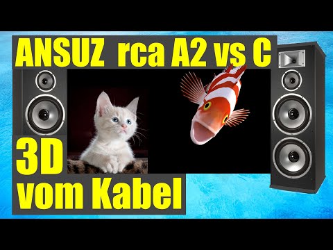 Raumwunder Ansuz C vs A2  oder: das Star-Gate-Phänomen #audiophile #hiendaudio #hifiaudio
