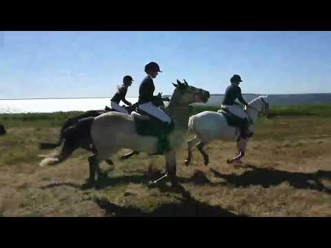 Viarp är med och inviger SM-veckan 2018