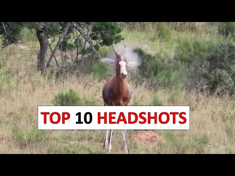 10 Insane Hunting Headshots