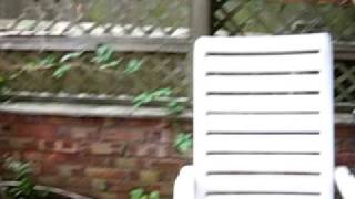 Video Basa piv (UK footage)