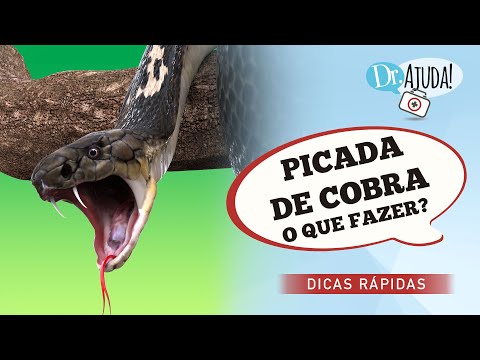 PICADA DE COBRA: O QUE FAZER?