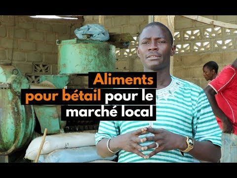 , title : 'Burkina Faso : Aliments pour bétail pour le marché local'