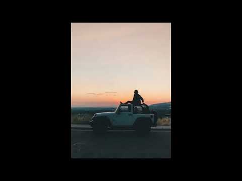 [Free] Nostalgic Summer Avicii sample type beat "Hey Brother"