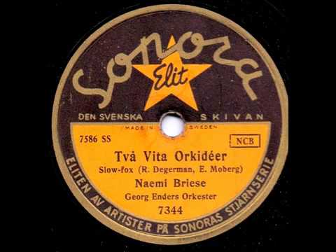 NAEMI BRIESE - TVÅ VITA ORKIDÉER
