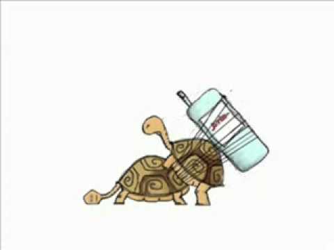 Funny animals cartoons - Funny Turtle Sex Cartoon 