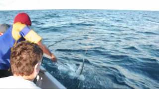 preview picture of video 'fishing activities available to travelers holidaying at Octopus Resort, Fiji.'