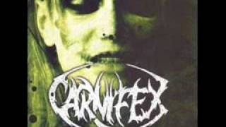 CARNIFEX - Among Grim Shadows  (w/Lyrics)