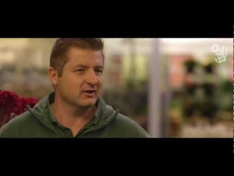 Blumengroßmarkt Düsseldorf: Herbst - In Zeiten bunter Blätter