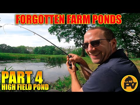 Forgotten farm ponds  part 4