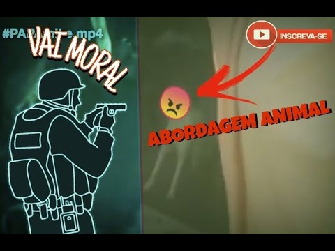 #Tenente DG - abordagem Animal (PAPAmike.mp4)