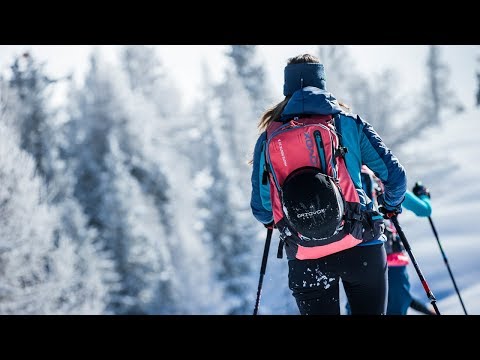 Ortovox Haute Route 38 - Zaino da sci alpinismo | Acquista online |  Bergfreunde.it