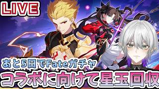 【#崩壊スターレイル 】遠坂凛とギルガメッシュのコラボガチャまであと5日！星玉回収をしておこう　質問相談OK【    #Vtuber　＃崩スタ　＃スタレ】