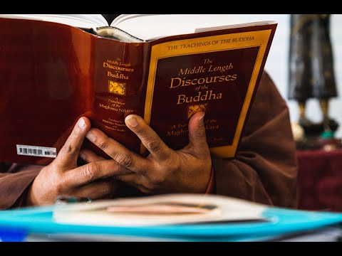 Daily Sutta Reading MN 7 Vatthupama Sutta Simile of the Cloth