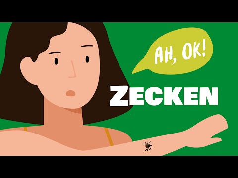 Zecken entfernen: So geht‘s | ah, ok!