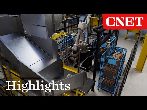 Cardinal: AI-Powered Robotic Package Sorter