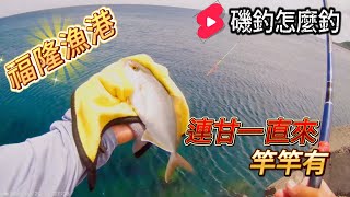 福隆漁港  連甘一直中,魚不大,但是滿爽的！ #磯釣怎麼釣
