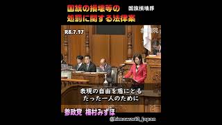 【本会議】日本国旗損壊罪 / 参政党：梅村みずほ参議院議員