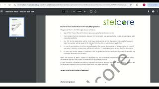 Stelcore - Tutorial: Authorized Representative Entity