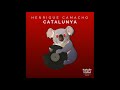 Henrique Camacho - Catalunya (Original Mix)