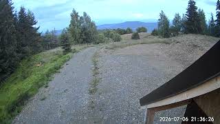 2026-07-06 caprioara