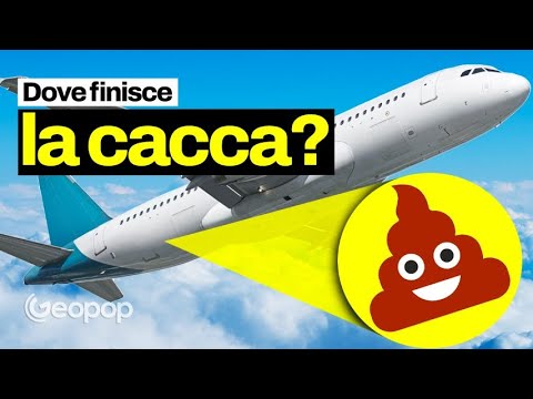 Where does the poop and pee we do in airplane bathrooms go?