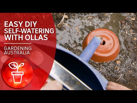 Irrigate like it’s 2000 BC with these easy DIY terracotta watering pots called ollas