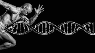 The 5 Most Important Molecules in Your Body