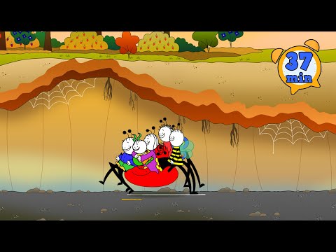 Bambulín a Berunka - 8 epizody | #57