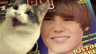Cat HATES Justin Bieber (official video)