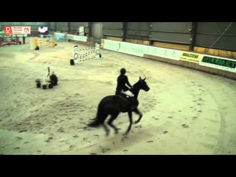 Halowy Puchar Polski / Wrocław / 08.11.2015