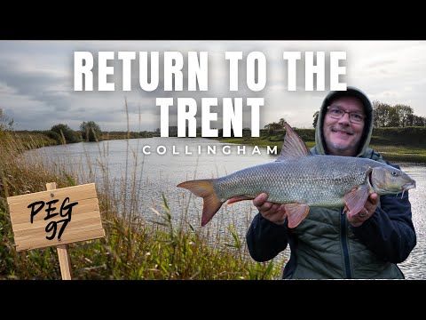 Barbel Fishing | River Trent | Collingham