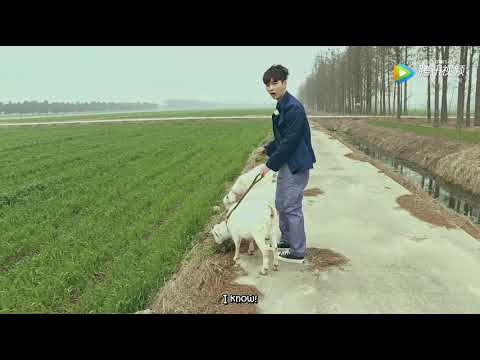 [ENGSUB] GFS4E1 BTS - Yixing and the Goats