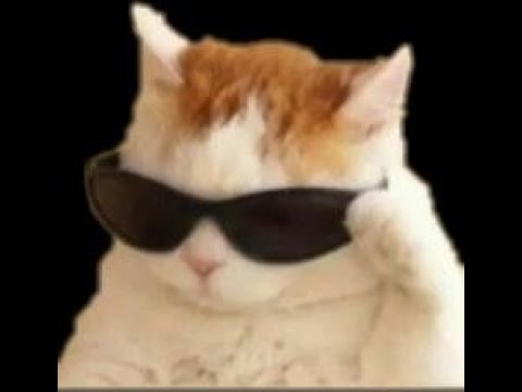 reggaeton con Selena Gómez,Karol g y Nicky Minaj señores 🙂 🔥