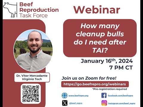 BRTF Spring webinar - How many cleanup bulls do I need after TAI?