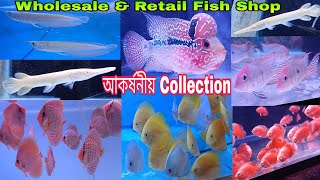 Aquarium Fish Shop Rishra | Fish Pet Shop Near Me | Fish Farms Near Me | Fresh fish shop near me 
