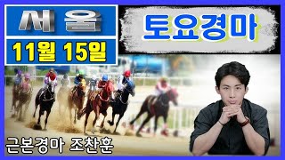 🟡경마예상💥경마방송🔵조찬훈경마🚩경마🥇토요경마🎯토요예상