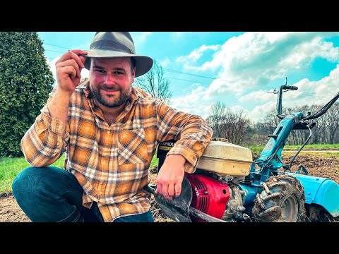 Sejeme luční květiny a pomáháme tím včelám