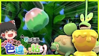 【ポケモンSV】木に生ってる色違いカジッチュが見たーい！【ゆっくり実況】