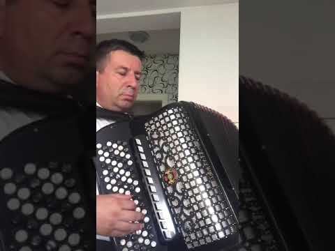 Moj zumbule-Bojan Nesic