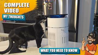 HEPA Cat Air Purifier Review for Allergies & Pet Owners