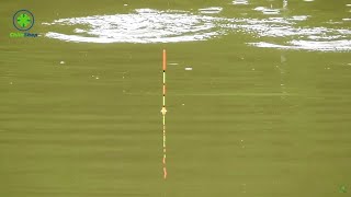 CÂU CÁ TRÁP CÁ HANH TẠI BÌNH ĐẠI | CÁ TRÁP ĂN MÙA LẠNH