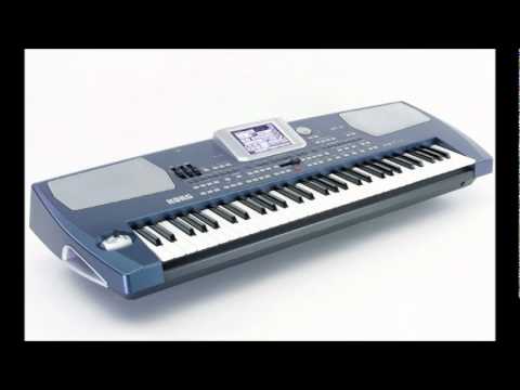 Nedvědovci - Tužka (Korg Pa 500)