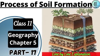 Process of Soil Formation | Geomorphic Processes | Class 11 Geography Chapter 5 NCERT UPSC