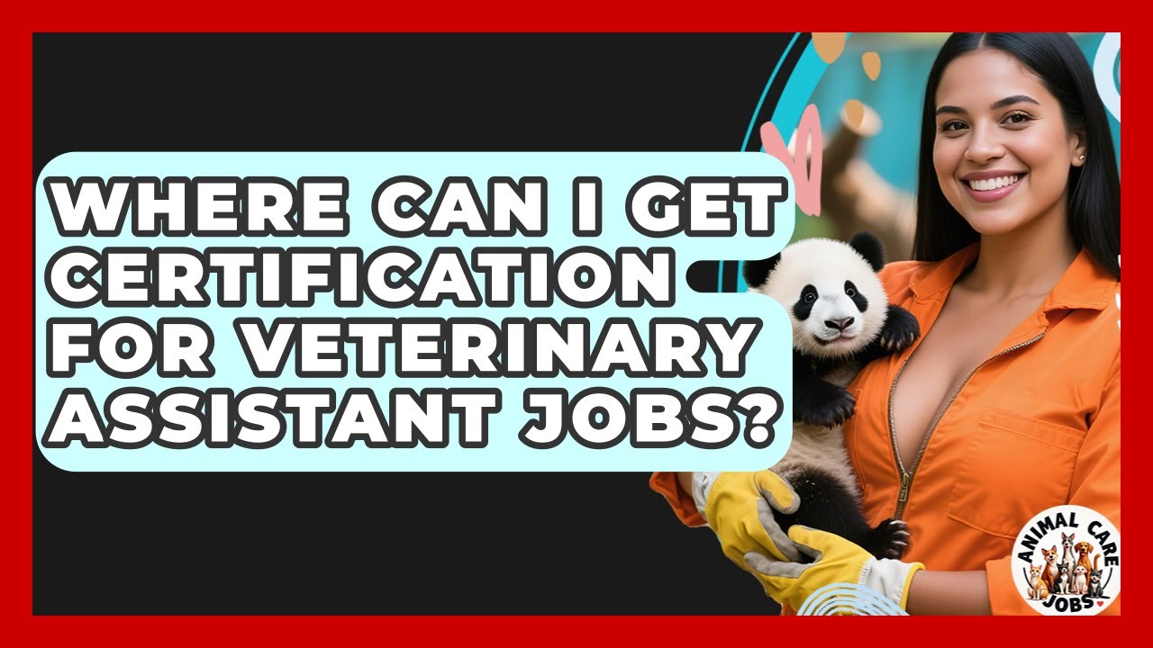 Where Can I Get Certification for Veterinary Assistant Jobs? | Animal Care Jobs