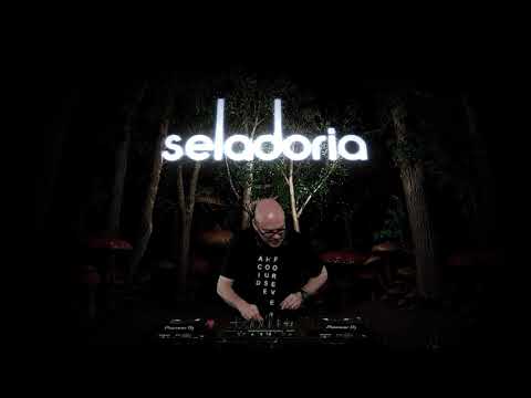 DJ Dave Seaman - Seladoria livestream II