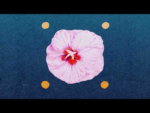 L'Impératrice, Louve — chrysalis [Audio Video]