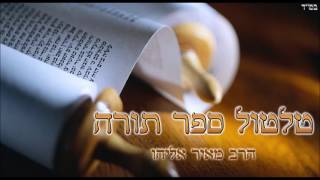 הרב מאיר אליהו - דיני טלטול ספר תורה