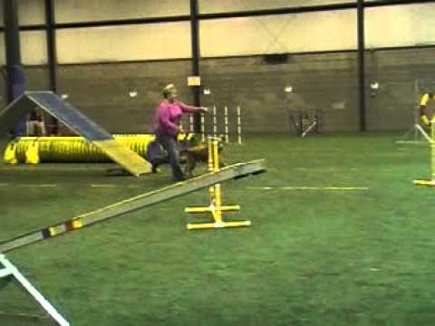 Columbus JackpotL2 GoDogGo 011913