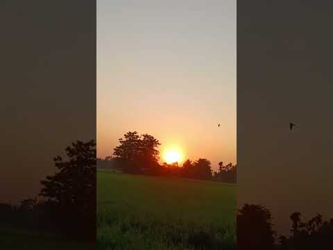 #nature #iloveyou #love #reels #sunset #sunview #enjoy #sad